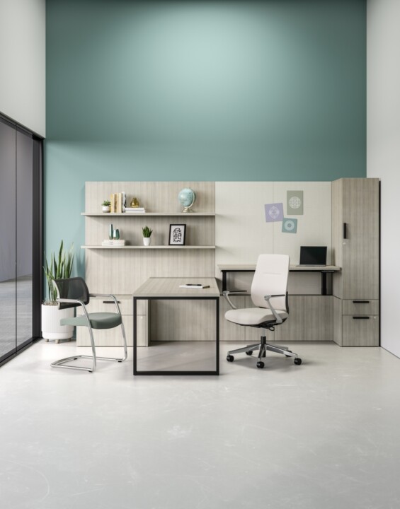 Private office installation by WSI Office