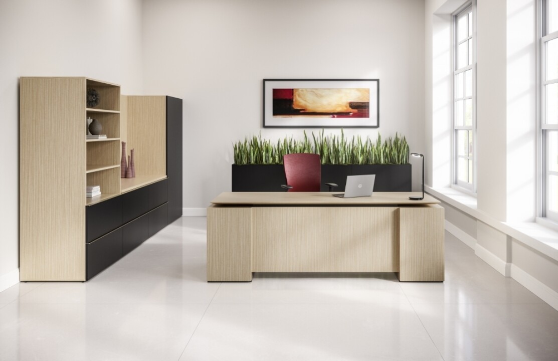 Private office installation by WSI Office